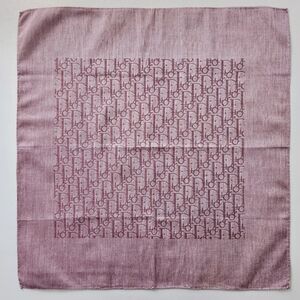 Christian Dior Trotter Vintage Bandana